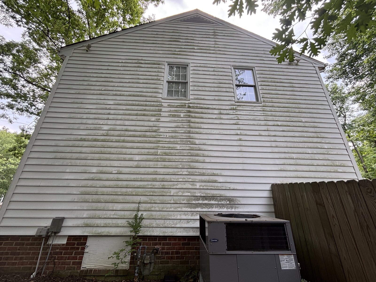 House siding before soft washing, covered in green algae