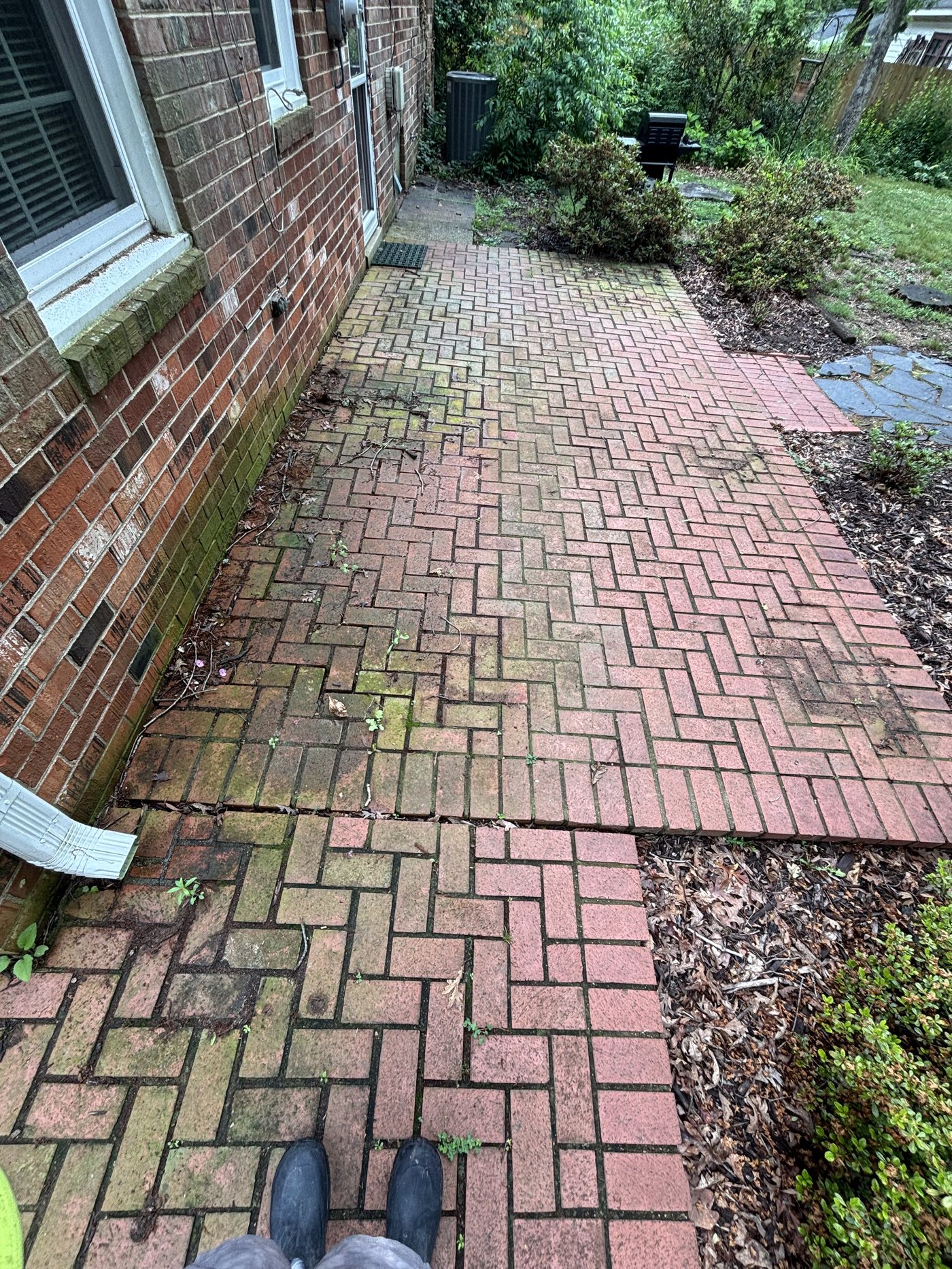 Brick walkway before pressure washing